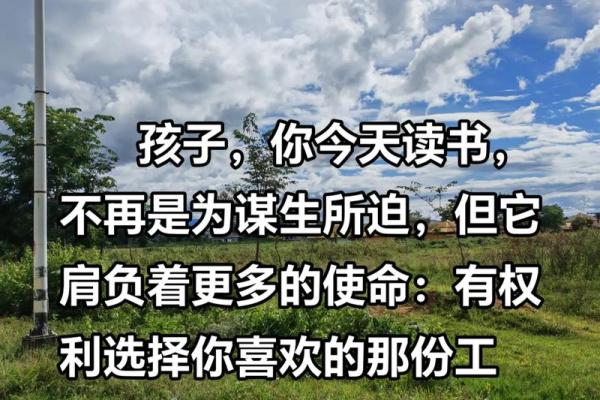 1987年8月的命运与机遇：寻找人生的方向与可能性
