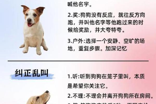 通过名字看命运：姓名的奥秘与人生轨迹分析