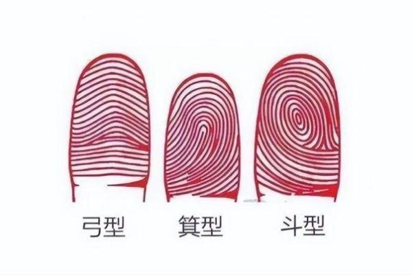 根据出生日期探索童子命的奥秘，揭示命运的秘密之门！