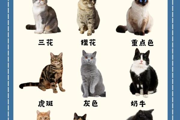 嘴唇厚薄与命运：揭秘你的未来与个性特征