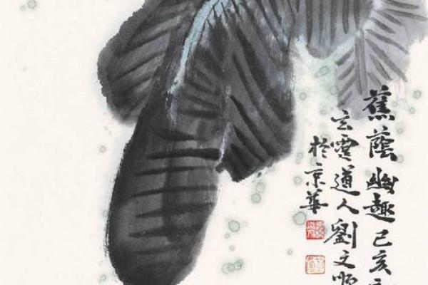 《什么就是你的命：人生的选择与命运的交织》