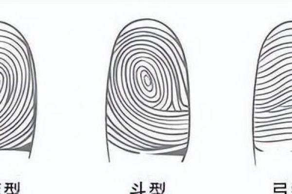 指纹与命运：解密手指纹路背后的秘密与说法