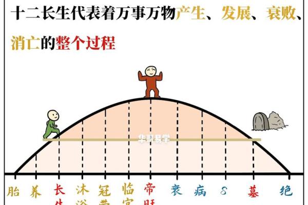 干土命与属鼠的缘分：如何发挥五行力量提升生活质量