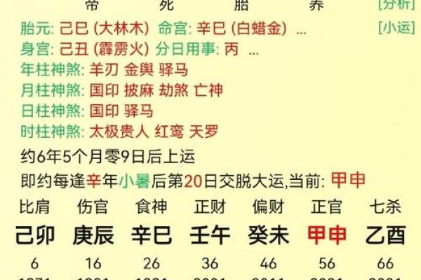 壬午女命：适合的职业与发展方向探索
