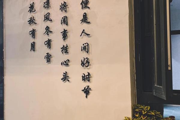 没有胎记的人命运如何？解密人生的秘密!
