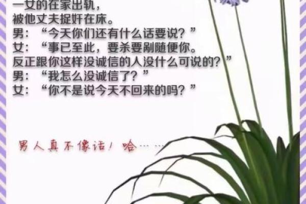 命不由天，探寻生肖背后的深意与智慧