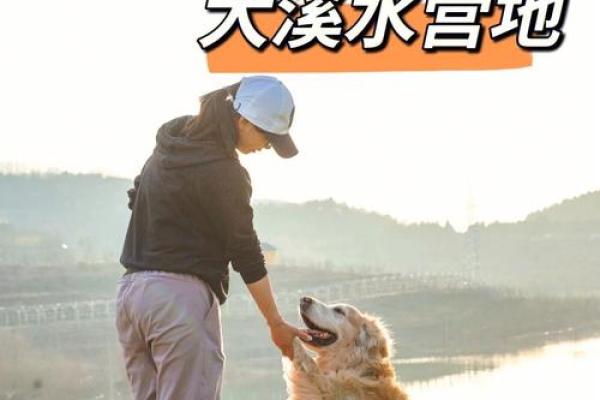 兔蛇狗,旺大溪水命的动物代表与命理解读 兔蛇狗,旺大溪水命的动物代表与命理解读