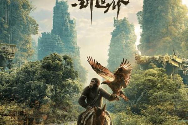 2000年腊月十六：命运与生活的交织之旅