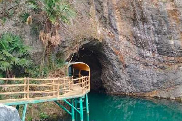 夏天的老鼠:小生物的生命哲学与自然的和谐共存 夏天的老鼠:小生物的生命哲学与自然的和谐共存