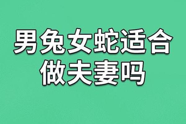 1987年兔年出生的命格解析及个性特征探讨 1987年兔年出生的命格解析及个性特征探讨