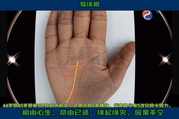 2016年属猴人的命运解析:智慧与机会并存的黄金年份 2016年属猴人的命运解析:智慧与机会并存的黄金年份