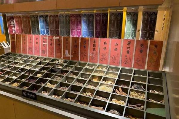 饮料与生命之泉:探寻更适合续命的饮品选择 饮料与生命之泉:探寻更适合续命的饮品选择