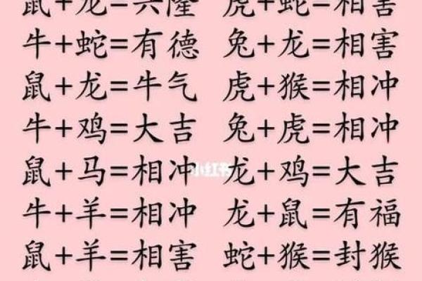 属相命运：解密十二生肖的命格与性格特点