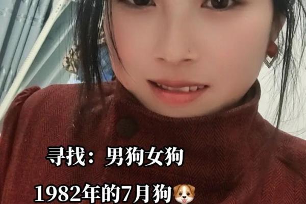 属狗虚岁49,命运与性格的深度解读 属狗虚岁49,命运与性格的深度解读