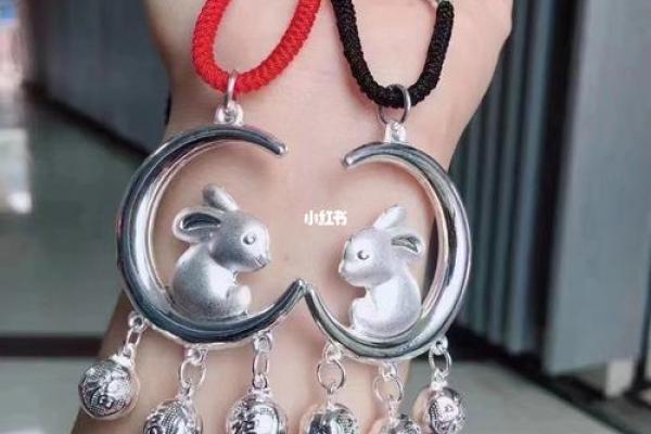 探索望月之兔命:月光下的神秘与启示 探索望月之兔命:月光下的神秘与启示