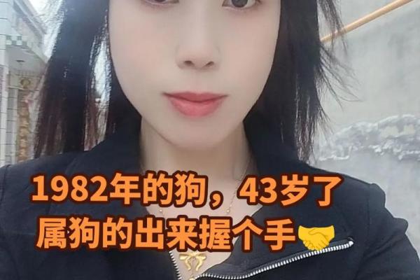 属狗虚岁49,命运与性格的深度解读 属狗虚岁49,命运与性格的深度解读