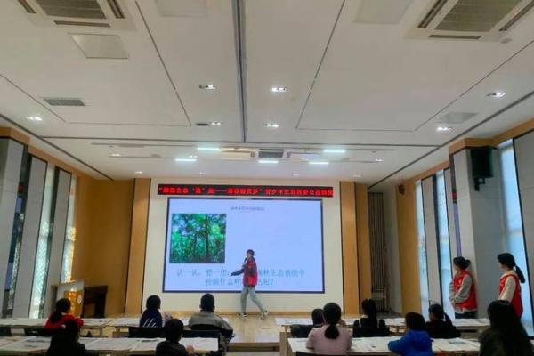 女1978属什么？探秘她的宅命与生活风格