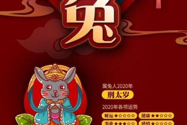 兔年出生者的颜色偏好与生活运势探讨 兔年出生者的颜色偏好与生活运势探讨