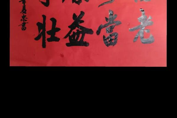 丙寅庚寅壬午命:探寻命理背后的智慧与人生意义 丙寅庚寅壬午命:探寻命理背后的智慧与人生意义