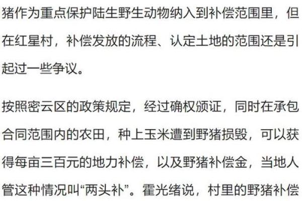 野猪为何生存力强,命硬如铁?探秘野生动物的抗逆能力 野猪为何生存力强,命硬如铁?探秘野生动物的抗逆能力