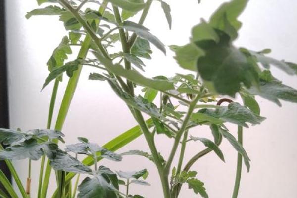 探索生命的奥秘:解密生命代码的奇妙旅程 探索生命的奥秘:解密生命代码的奇妙旅程