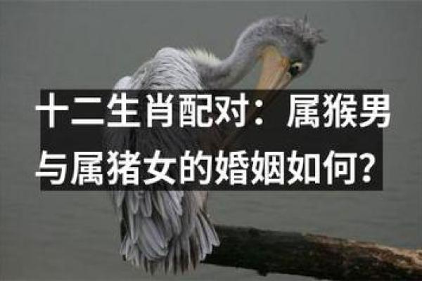 属相解析：最硬命的女人通常是哪几种生肖？