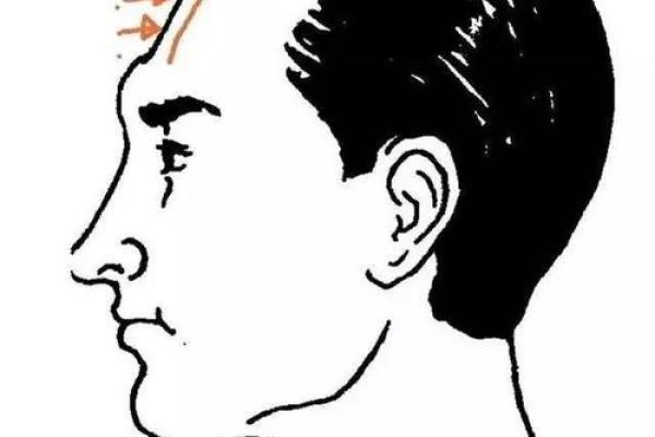 额头窄的人生:解密命运的奥秘与潜能 额头窄的人生:解密命运的奥秘与潜能