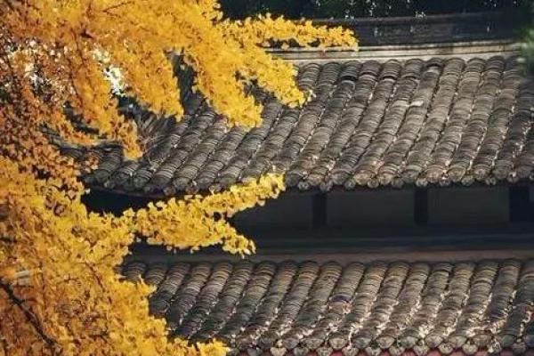 属猪女辰时命解析:解锁她的命运特征与人生轨迹 属猪女辰时命解析:解锁她的命运特征与人生轨迹