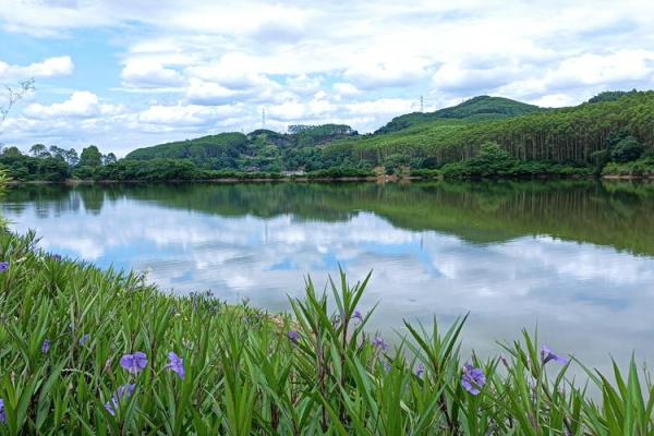 在唯美艺术中领略鼻子之美:无声的表达与深邃的寓意 在唯美艺术中领略鼻子之美:无声的表达与深邃的寓意