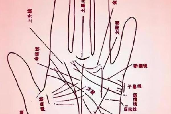 手指上的“肉”暗示着什么命运?解读身体语言与命运的奥秘 手指上的“肉”暗示着什么命运?解读身体语言与命运的奥秘