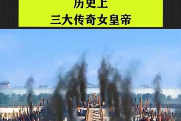 揭秘世界上最长的乌龟：它的传奇故事与环境保护之路