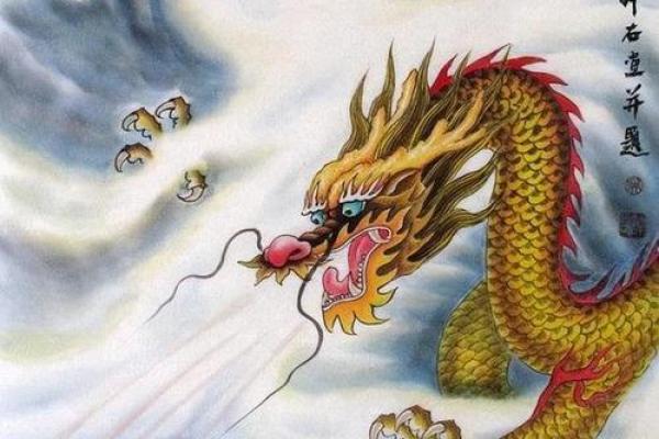 生肖与龙命:揭秘不同生肖如何影响龙的命运 生肖与龙命:揭秘不同生肖如何影响龙的命运