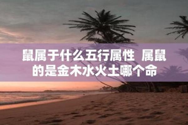 木命之人喜爱的颜色与生活哲学探讨 木命之人喜爱的颜色与生活哲学探讨