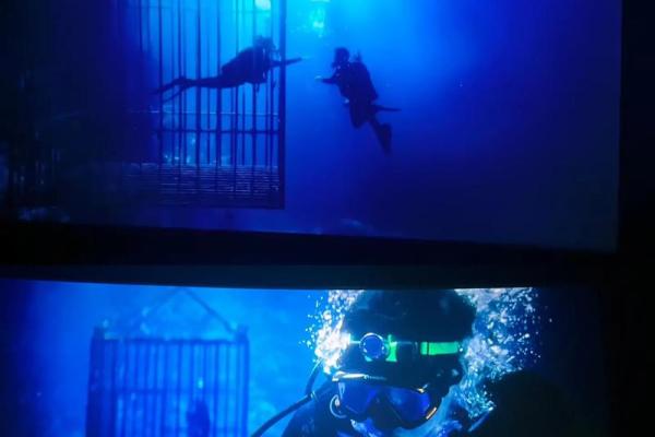 解读女孩命理：潜藏在星空下的你我他