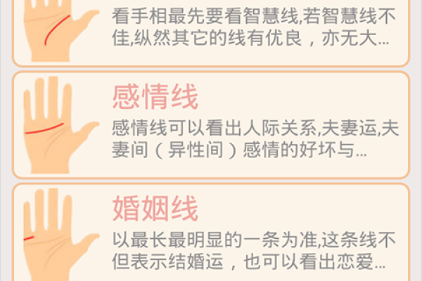 从手相看命运：揭示你生命的秘密与可能性