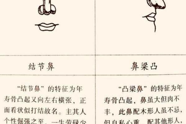揭秘男生口型的富贵命,如何通过面相看未来? 揭秘男生口型的富贵命,如何通过面相看未来?