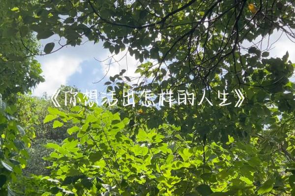 华佗命盘解析:如何选择最佳的命盘让你的人生更顺利 华佗命盘解析:如何选择最佳的命盘让你的人生更顺利