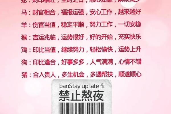 2020年生肖狗运势解析：命理与性格的深度剖析