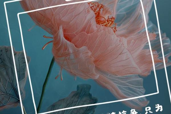 探秘古代命格：在不详人命运中寻找光明与希望