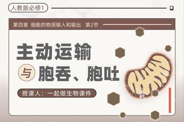 1935年出生的人：命运与性格的奥秘分析