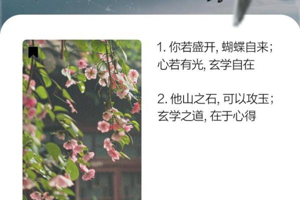 根据月份测算你的命运之道，探索命理的奥秘与智慧