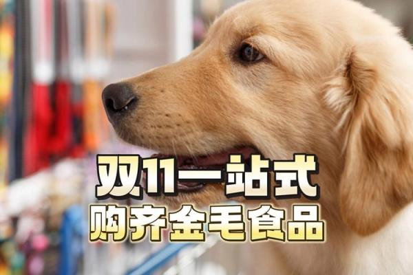 适合养金毛犬的人群分析:你的性格与金毛的完美搭配! 适合养金毛犬的人群分析:你的性格与金毛的完美搭配!