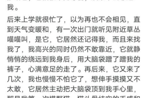 63年兔子命运解析:追寻生命中的兔之灵性与幸运 63年兔子命运解析:追寻生命中的兔之灵性与幸运