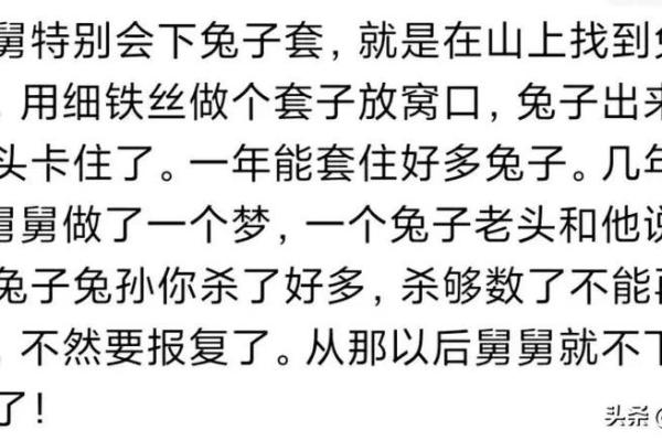 63年兔子命运解析:追寻生命中的兔之灵性与幸运 63年兔子命运解析:追寻生命中的兔之灵性与幸运