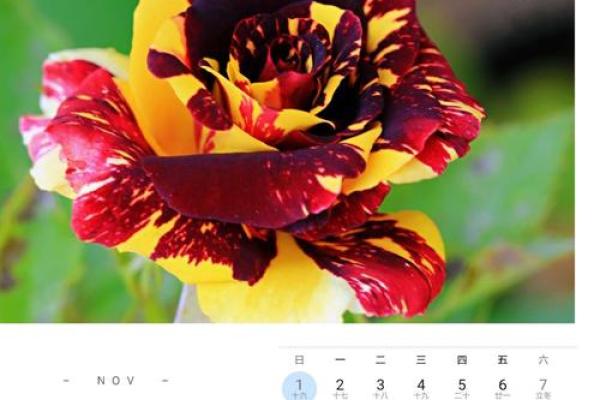 鼠年吉祥命理解析:拥抱新机遇与幸福人生的秘密! 鼠年吉祥命理解析:拥抱新机遇与幸福人生的秘密!