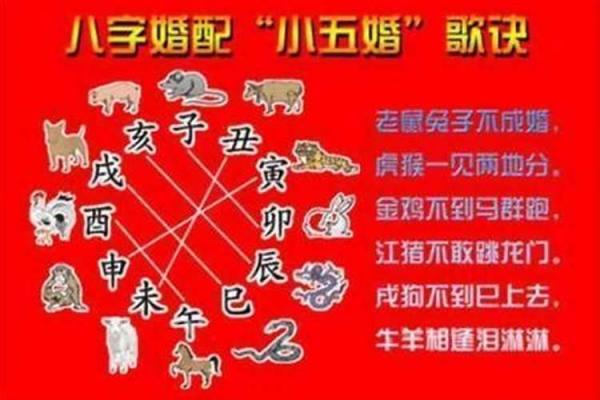 2008年鼠命的命理解析与生活建议,如何弥补命中的不足? 2008年鼠命的命理解析与生活建议,如何弥补命中的不足?