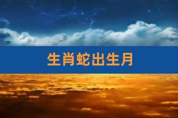 2024年蛇宝宝的命运与性格分析,赋予生活无限可能 2024年蛇宝宝的命运与性格分析,赋予生活无限可能