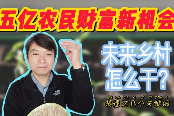 2004年后的命运之路：把握未来的关键与机会