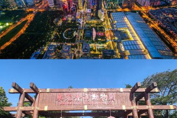 2000年属鼠的命理解析:人生机遇与挑战并存的旅程 2000年属鼠的命理解析:人生机遇与挑战并存的旅程