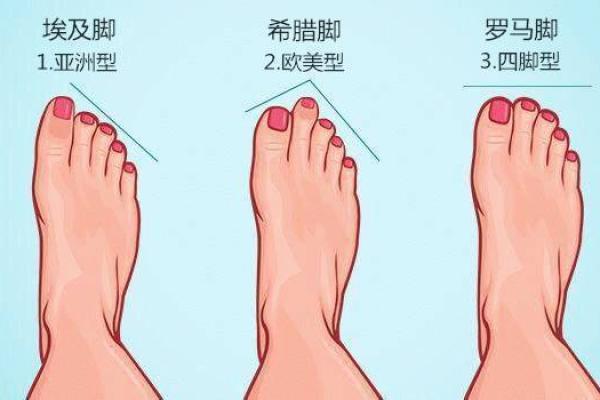 揭秘埃及脚女人的命运与生活智慧